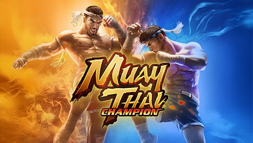 Muay Thai Champion